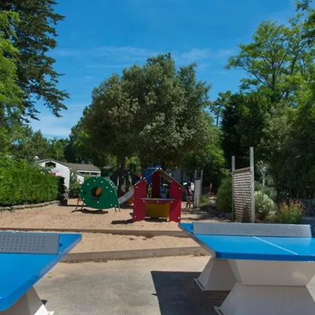 Convivial Pres De Avec Jardin_2 * Saint-Jean-de-Monts